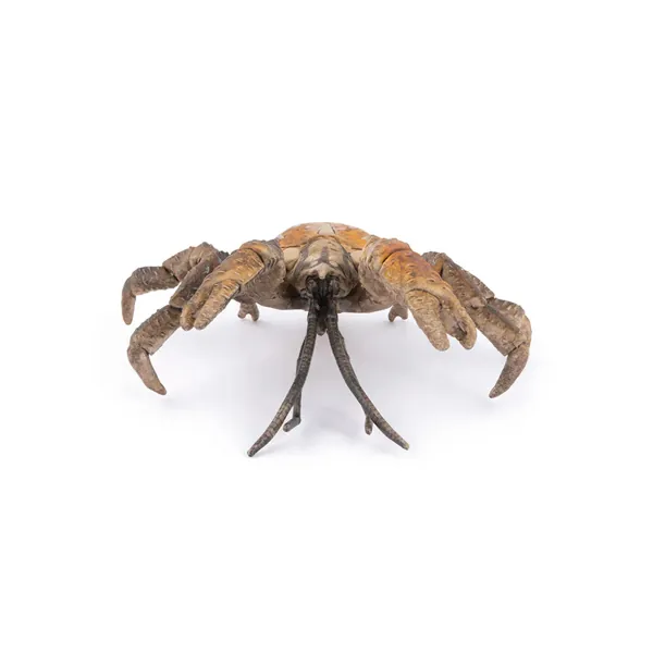 CRABE DE COCOTIER - PAPO – Image 3