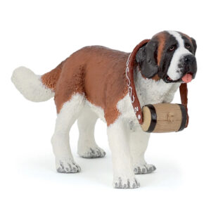 SAINT BERNARD - PAPO