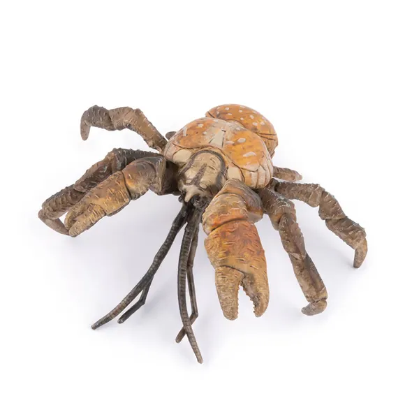 CRABE DE COCOTIER - PAPO