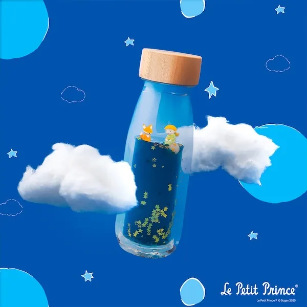 BOUTEILLE SENSORIELLE MOVE PETIT PRINCE - PETIT BOUM – Image 6