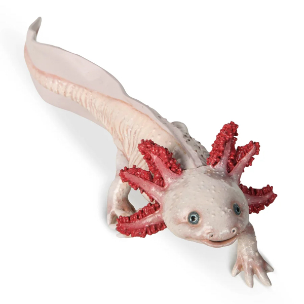 AXOLOTL - PAPO